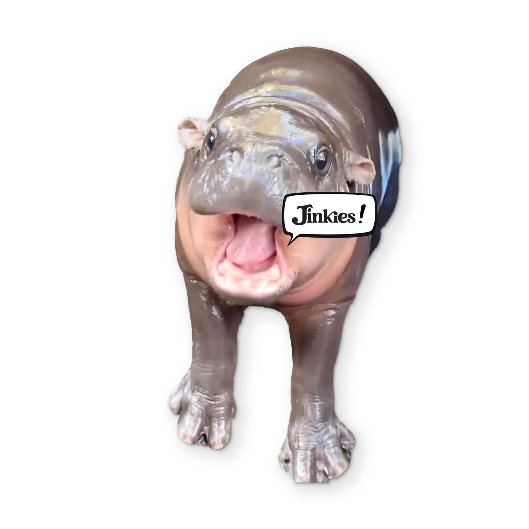 🦛 A MOO DENG YOU CAN CLEAN YOUR GLASSES WITH - Image 2