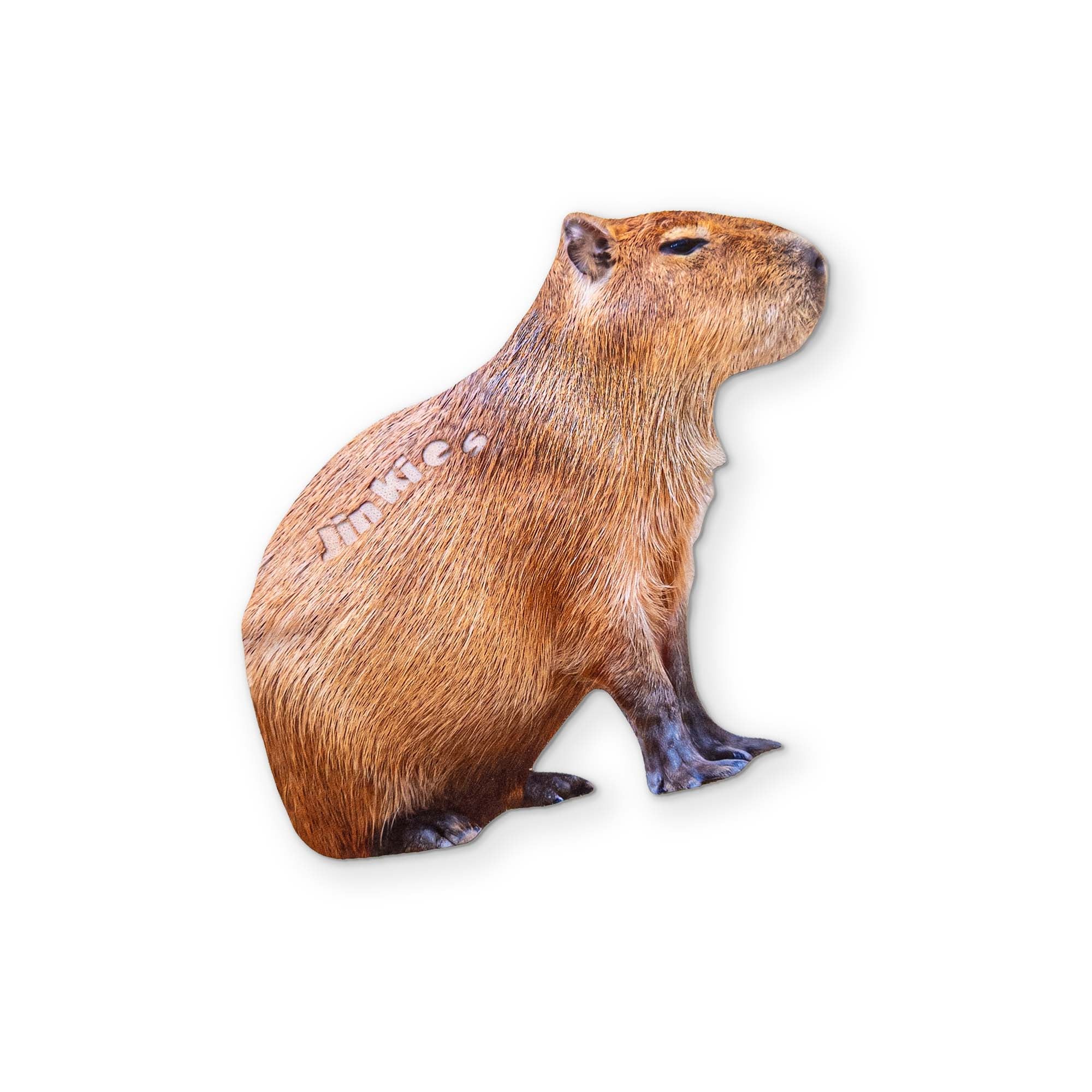 A CAPYBARA YOU CAN CLEAN YOUR GLASSES WITH - Image 2