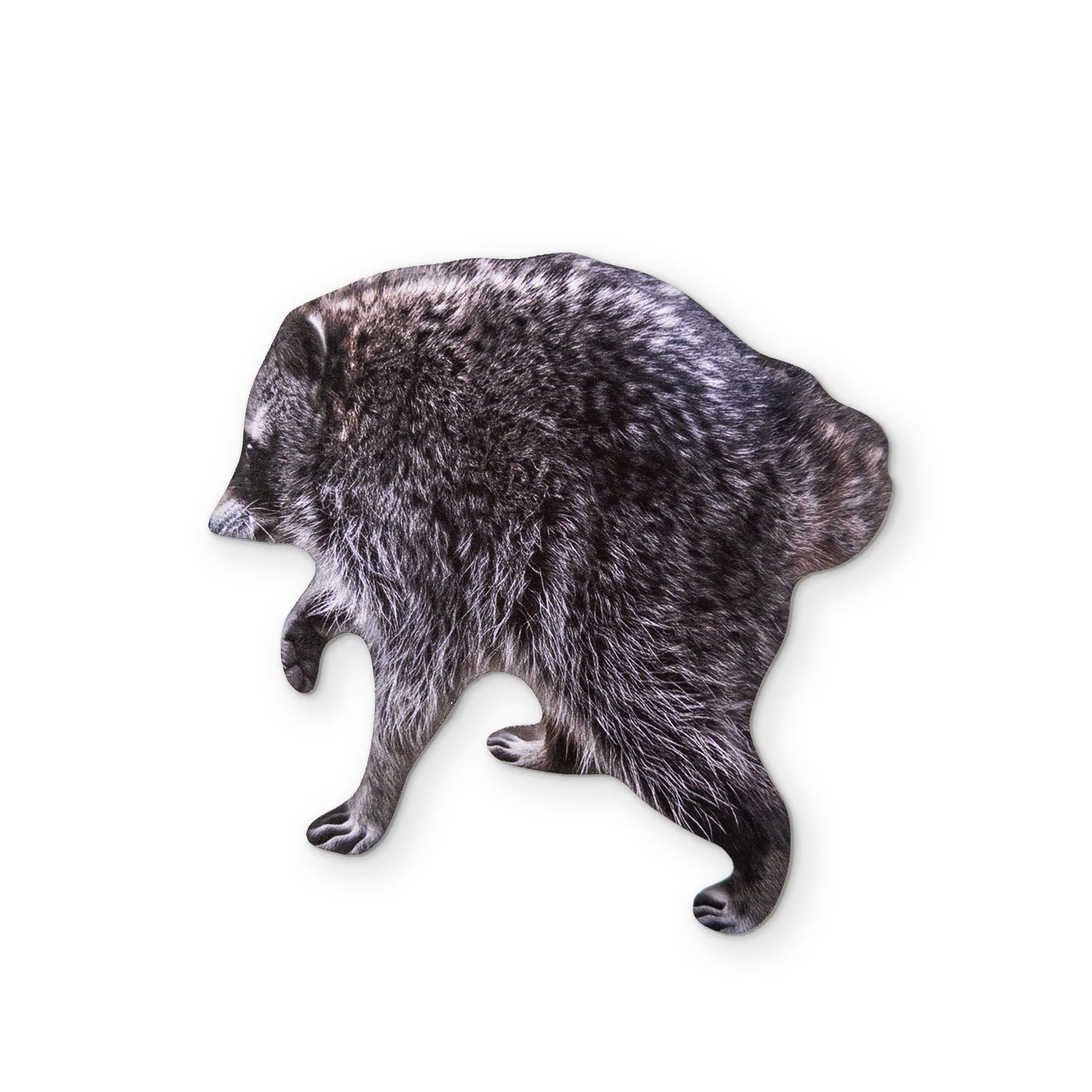 🦝 A JIMOTHY RACCOON MEME YOU CAN CLEAN YOUR GLASSES WITH