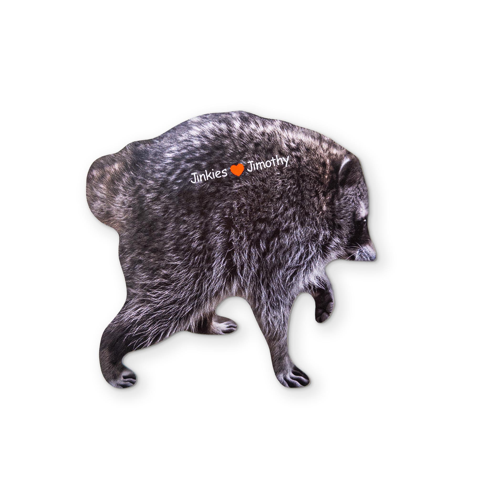 🦝 A JIMOTHY RACCOON MEME YOU CAN CLEAN YOUR GLASSES WITH - Image 2