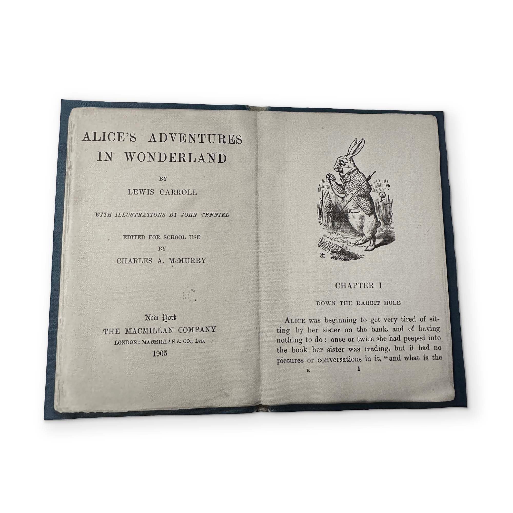 ALICE IN WONDERLAND - A BOOK YOU CAN CLEAN YOUR GLASSES WITH - Image 2