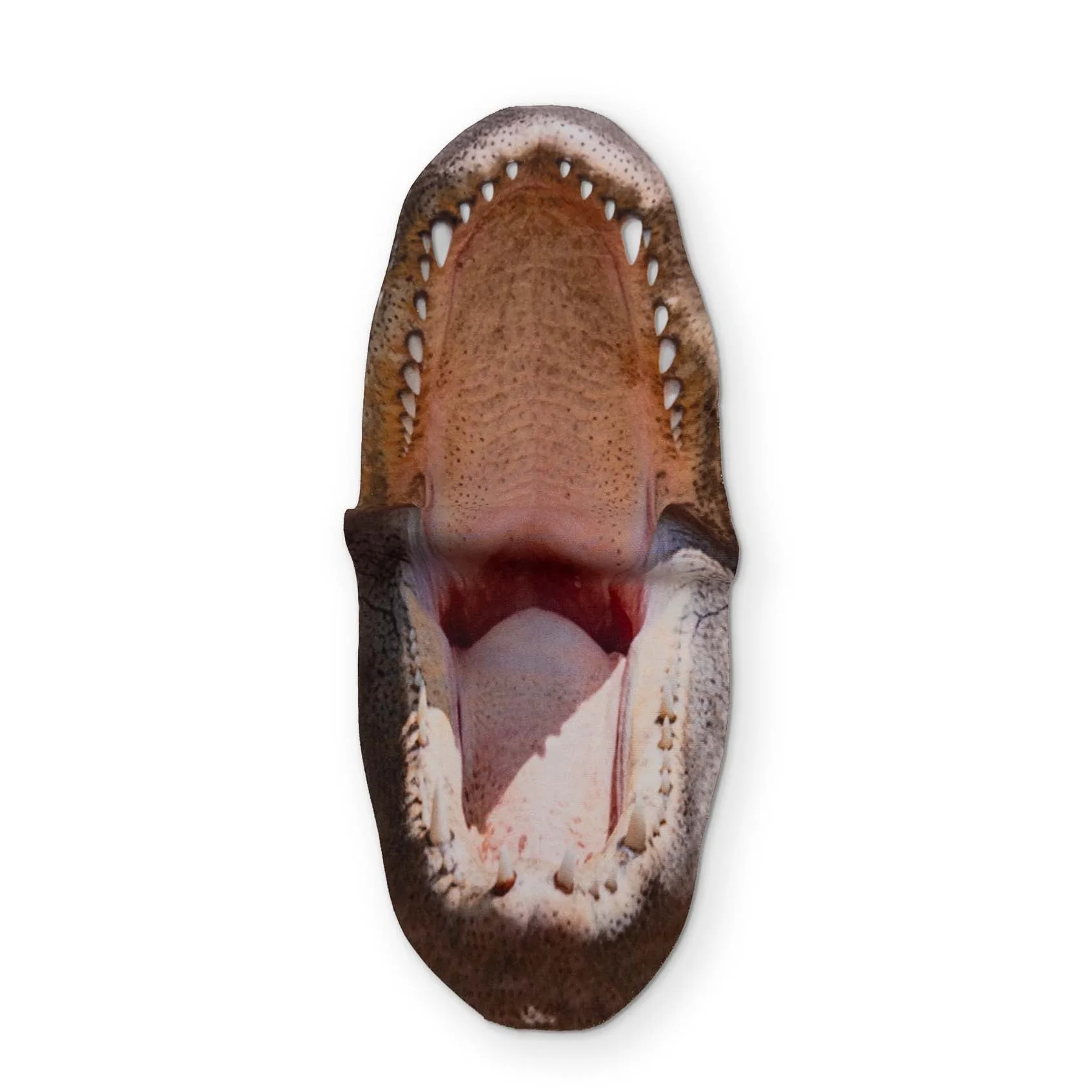 AN ALLIGATOR YOU CAN CLEAN YOUR GLASSES WITH - Image 2