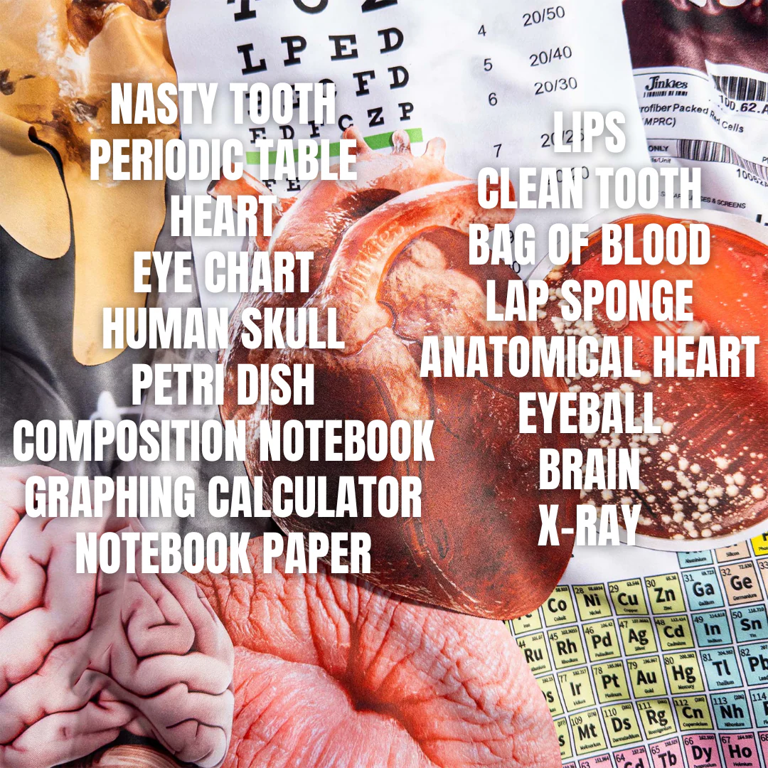 Science Bundle - Image 2